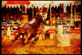 Horse 197072 Rodeo (barrel Race) A4 Limited Edition Watercolour Print