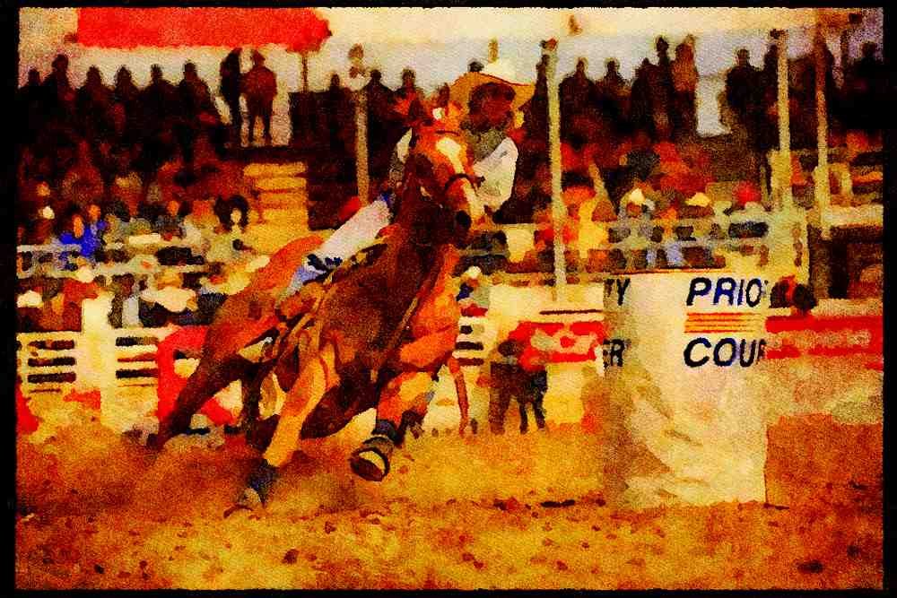 Horse 197072 Rodeo (barrel Race) A4 Limited Edition Watercolour Print