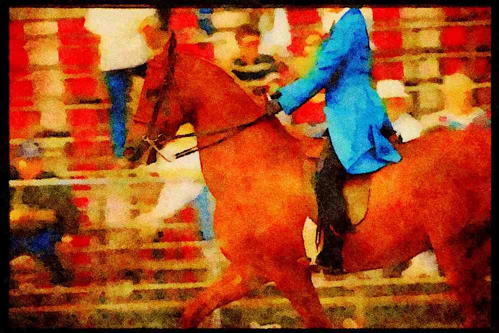 Horse 197077 American Saddlebred A4 Limited Edition Watercolour Print