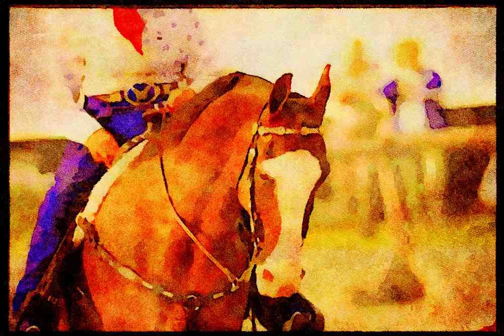 Horse 197078 American Saddlebred A4 Limited Edition Watercolour Print