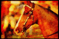 Horse 197082 American Saddlebred A4 Limited Edition Watercolour Print