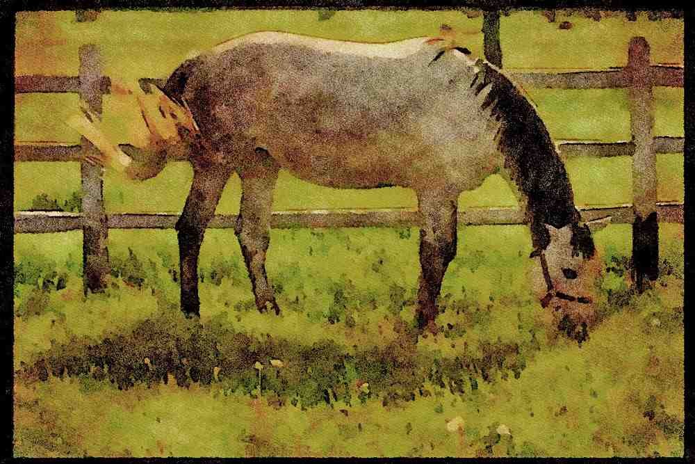 Horse 197086 Farm Horse A4 Limited Edition Watercolour Print