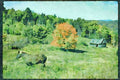 Horse 197088 Palomino A4 Limited Edition Watercolour Print