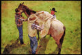 Horse 197091 Cowboys Loading Up A4 Limited Edition Watercolour Print