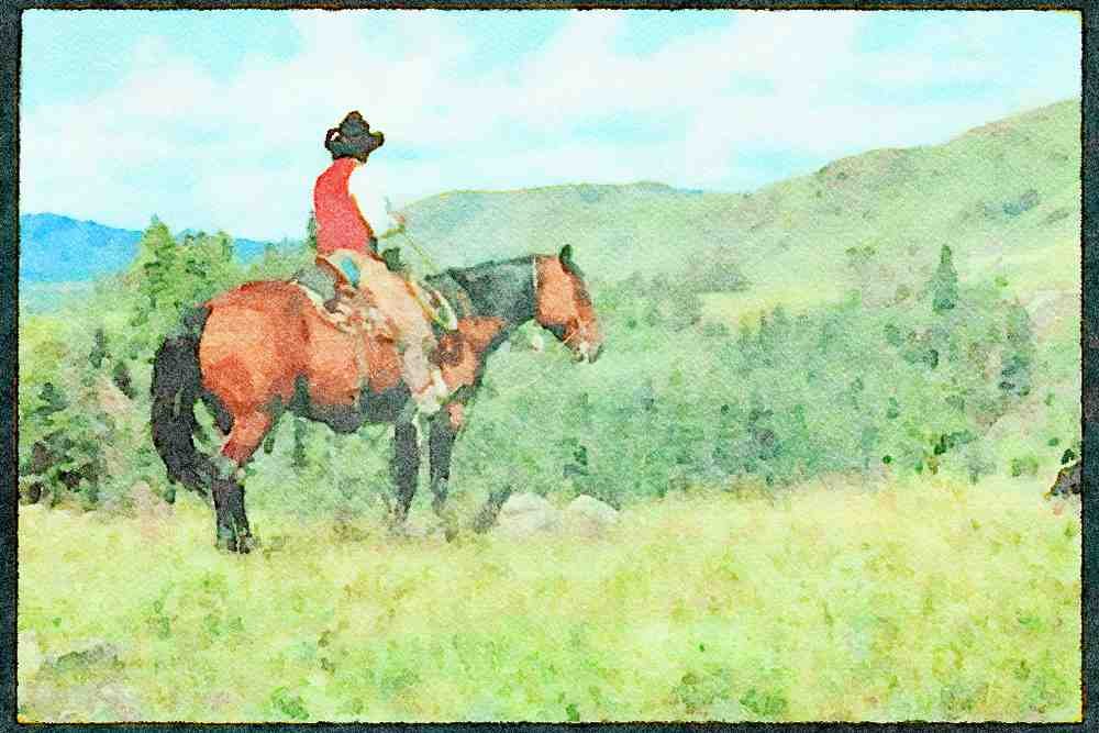 Horse 197093 Working Cowboys, Rocky Mountains A4 Limited Edition Watercolour Print