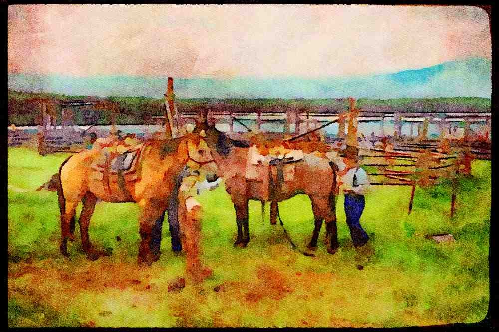 Horse 197096 Corral A4 Limited Edition Watercolour Print