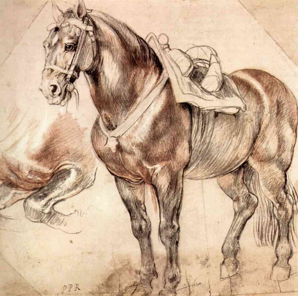 Horse Studies Rubens A4 Photo Print