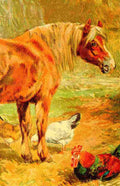 Horse Tails 1924 1 A4 Photo Print