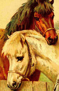 Horse Tails 1924 2 A4 Photo Print