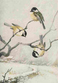 Horsfall Bird Lore 1922 Chickadee A4 Photo Print