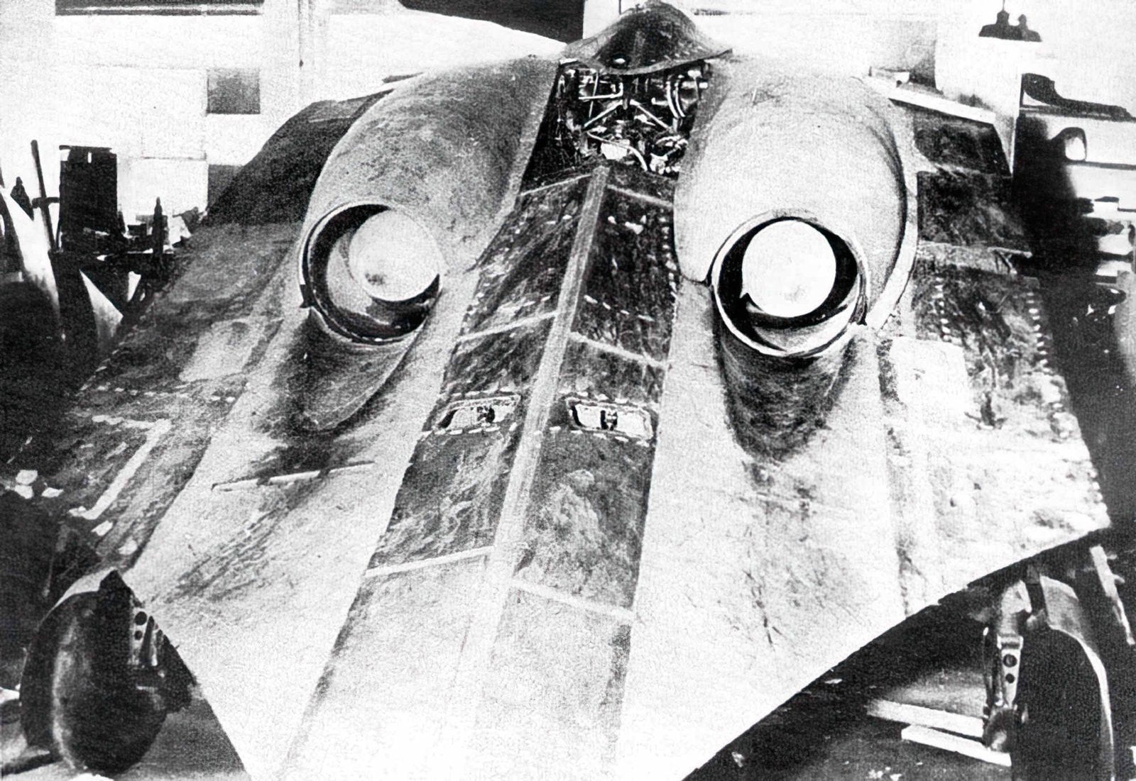 Horten Ho229 Hoix Flying Wing Jet Bomber Germany 16 A4 Photo Print