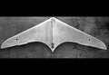 Horten Ho229 Hoix Flying Wing Jet Bomber Germany 7 A4 Photo Print