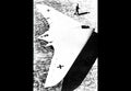 Horten Ho229 Hoix Flying Wing Jet Bomber Germany 8 A4 Photo Print