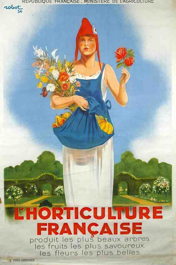 Horticulture Vintage Advert A4 Photo Print