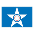 Houston City Flag N6060 A4 Photo Print