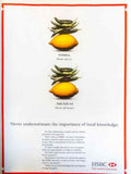 Hsbc Fruit Diptych Vintage Retro Advert Poster A4 Photo Print
