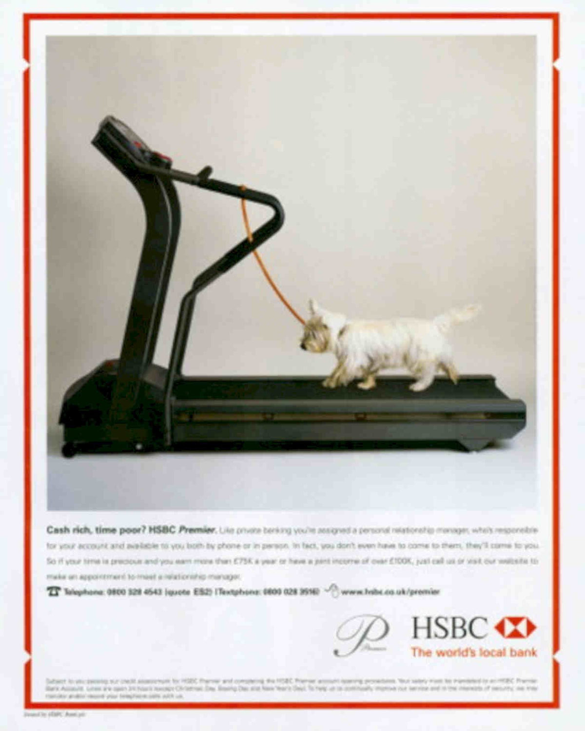 Hsbc Premier Dog Vintage Retro Advert Poster A4 Photo Print