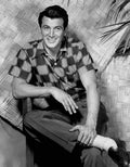 Hudson Rock 7 film star poster A4 Photo Print