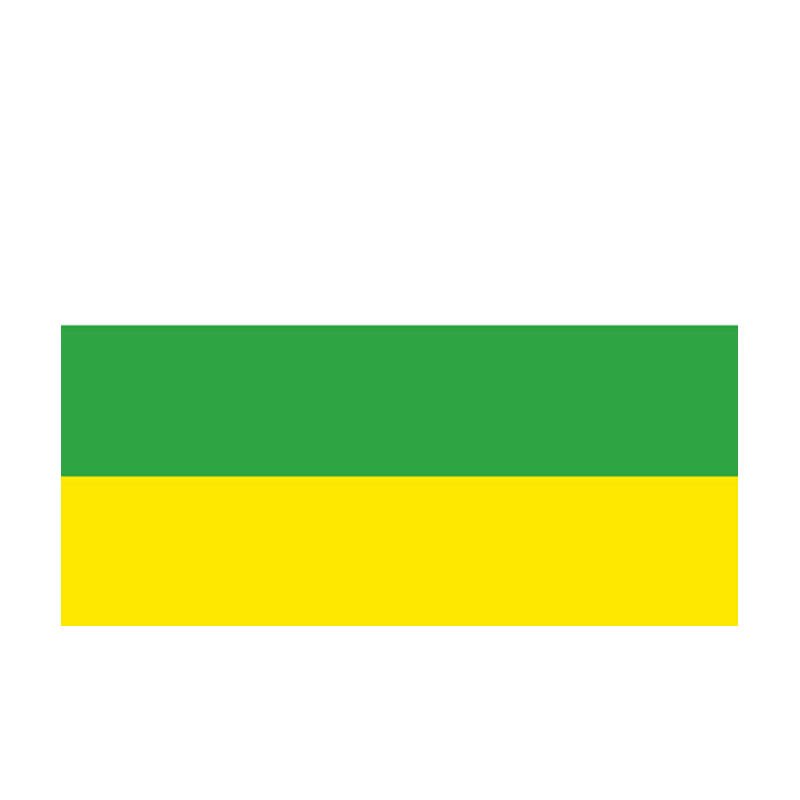 Huila Dep Flag N4831 A4 Photo Print