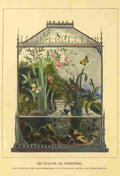 Humphreys Henry 1858 Vivarium A4 Photo Print