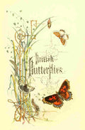 Humphreys Henry Butterflies 1860 Title Page A4 Photo Print