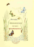 Humphreys Henry Transformations 1841 Title Page A4 Photo Print