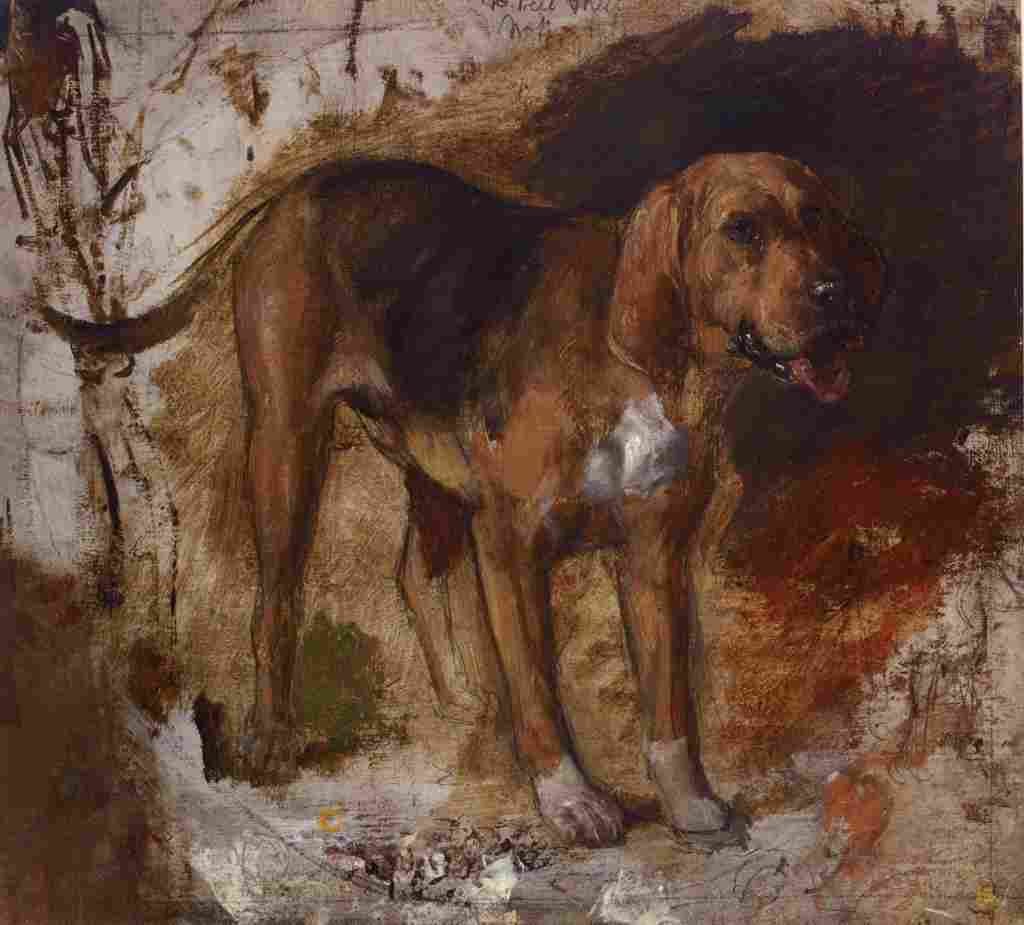 Hunt William Holman Bloodhound 1848 A4 Photo Print