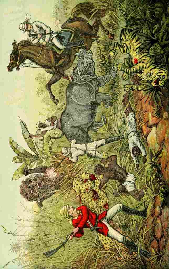Hunting 1909 Desperate encounter with ferocious beasts A4 Photo Print
