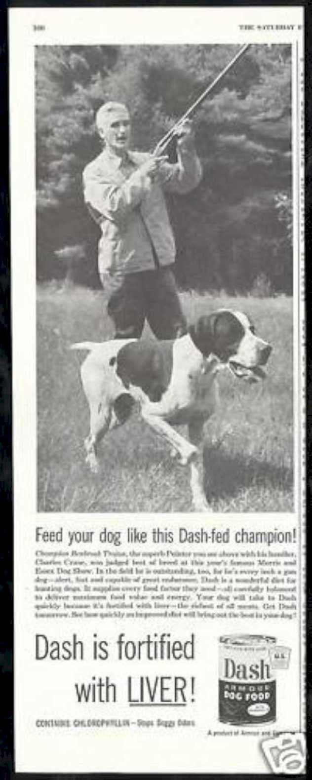Hunting Dog Dash Vintage Retro Advert Ads A4 Photo Print