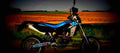 Husqvarna SM 450 R 2003 1 640x284 motorbike A4 Photo Print