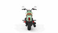 INDIAN Scout 14534 15 Car A4 Photo Print