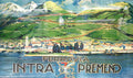 ITL11095 Advert A4 Photo Print