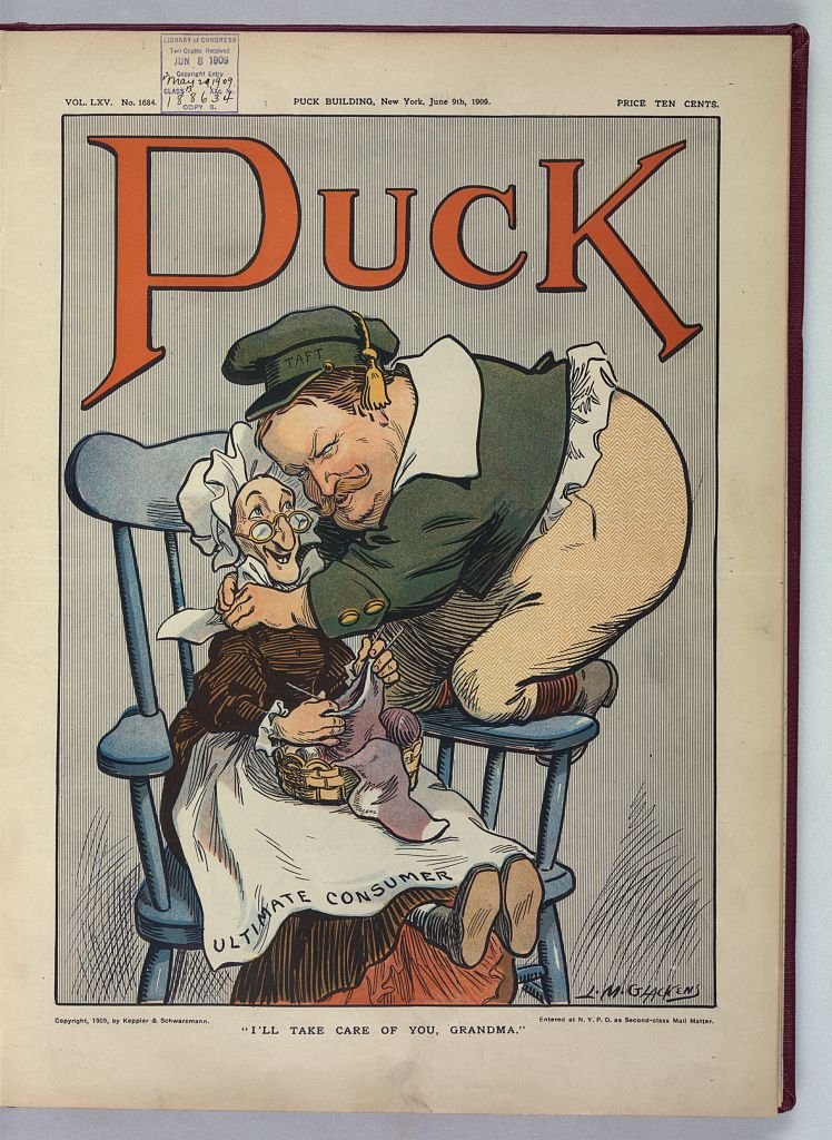 I'll take care of you Grandma PUCK A4 Photo Print