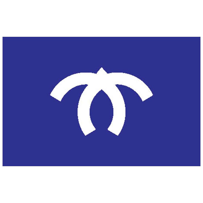 Ichihara City Flag N2638 A4 Photo Print