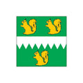 Iisaku City Flag N4231 A4 Photo Print