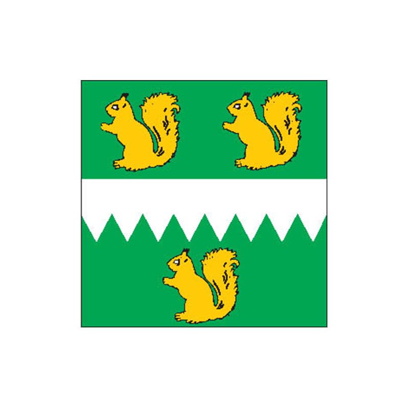 Iisaku City Flag N4231 A4 Photo Print