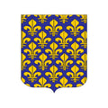 Iledefrance Prov Coat Of Arms N3164 A4 Photo Print
