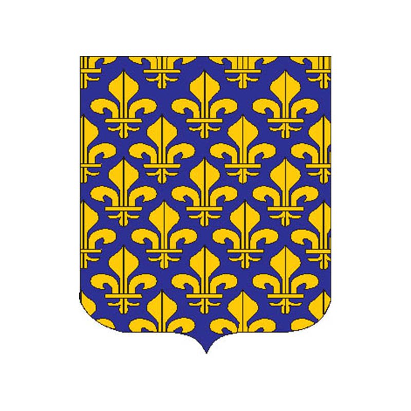 Iledefrance Prov Coat Of Arms N3164 A4 Photo Print