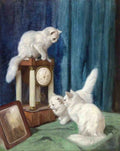 Illustrated Cat Book 1 005 Vintage Illustration A4 Photo Print