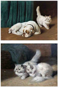 Illustrated Cat Book 1 006 Vintage Illustration A4 Photo Print