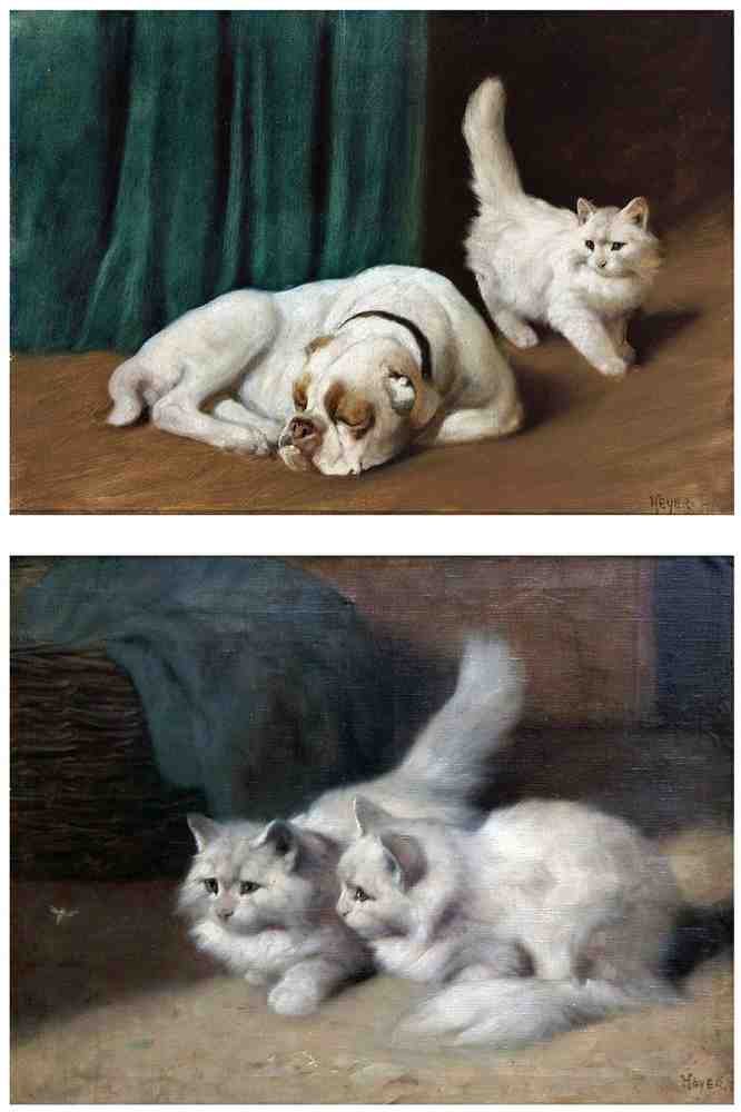 Illustrated Cat Book 1 006 Vintage Illustration A4 Photo Print