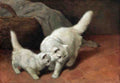 Illustrated Cat Book 1 007 Vintage Illustration A4 Photo Print