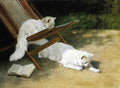 Illustrated Cat Book 1 008 Vintage Illustration A4 Photo Print