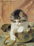 Illustrated Cat Book 1 010 Vintage Illustration A4 Photo Print