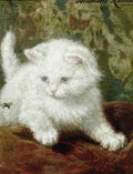 Illustrated Cat Book 1 013 Vintage Illustration A4 Photo Print