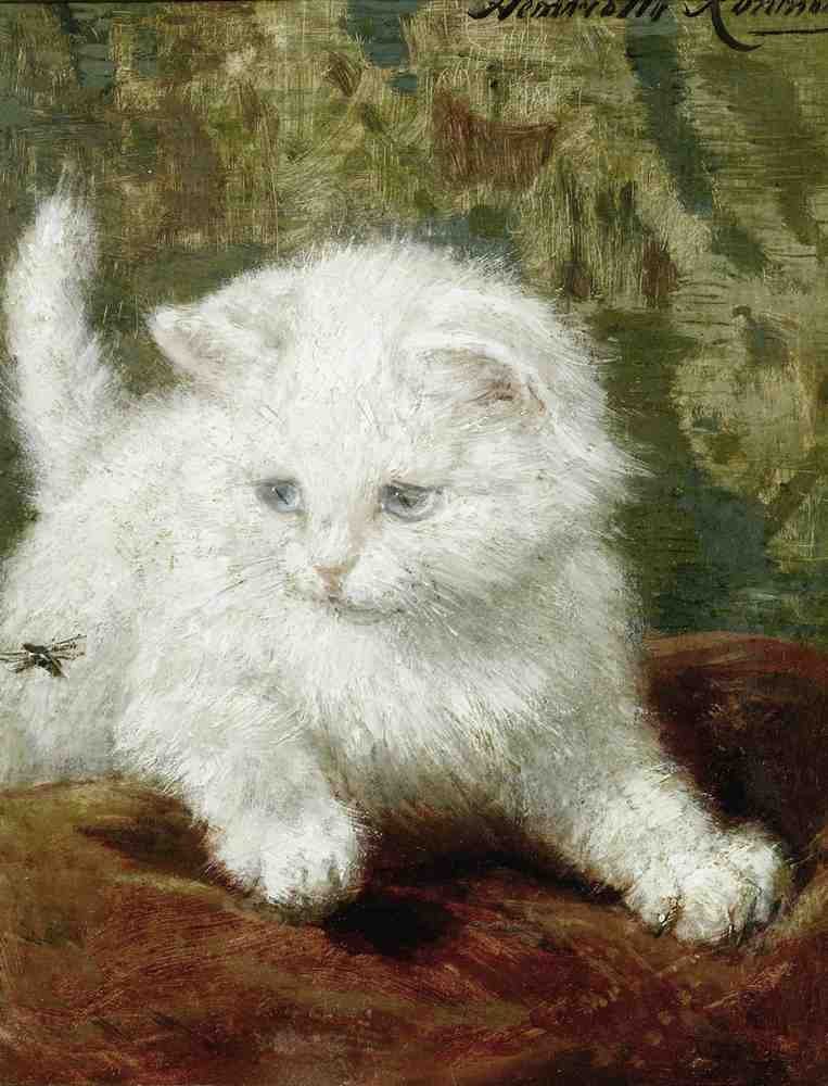 Illustrated Cat Book 1 013 Vintage Illustration A4 Photo Print