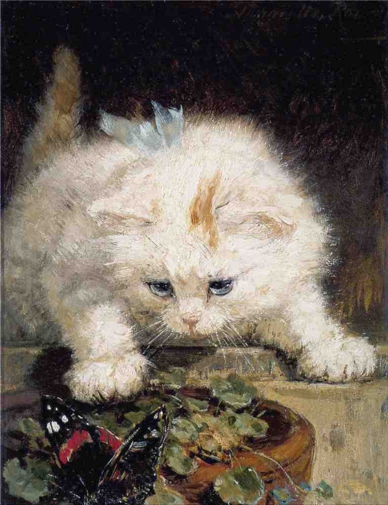 Illustrated Cat Book 1 015 Vintage Illustration A4 Photo Print
