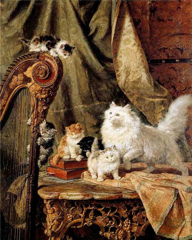 Illustrated Cat Book 1 016 Vintage Illustration A4 Photo Print