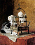 Illustrated Cat Book 1 017 Vintage Illustration A4 Photo Print