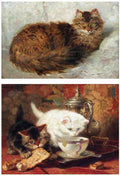 Illustrated Cat Book 1 018 Vintage Illustration A4 Photo Print